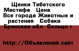 Щенки Тибетского Мастифа › Цена ­ 90 000 - Все города Животные и растения » Собаки   . Брянская обл.,Сельцо г.